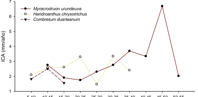 Figura 12. Incrementos corrientes anuales promedio según clases diamétricas para las tres  especies con mayor IVI en el estadio sucesional tardío, Parque Estadual Mata Seca, Minas 