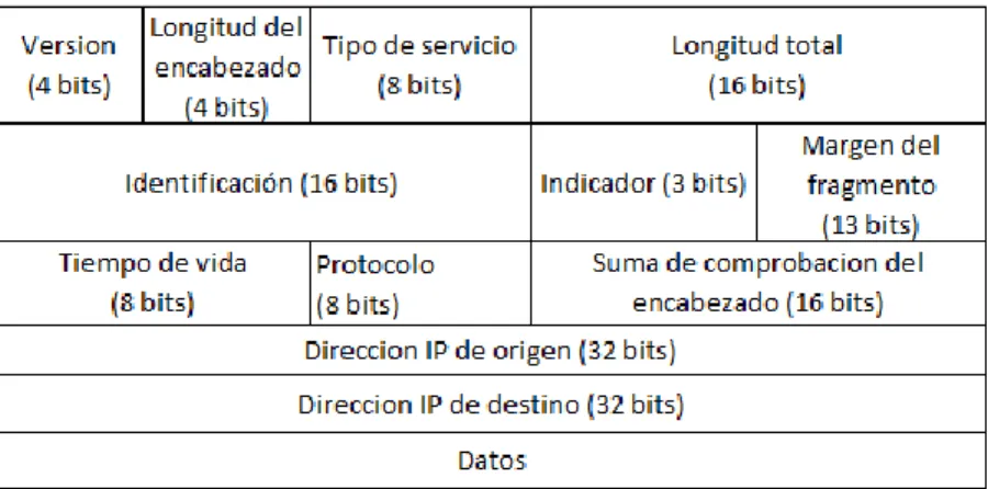 Figura 14 Trama IP. 