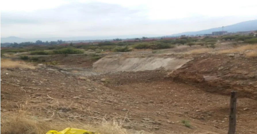 Figura 2. Quebrada de Lo Cañas 