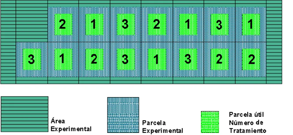 Figura 4.  Representación  esquemática  de  la  distribución  de  los  tratamientos  experimentales  durante  el  estudio  de  fertilización  mediante  el  Método  Stroller