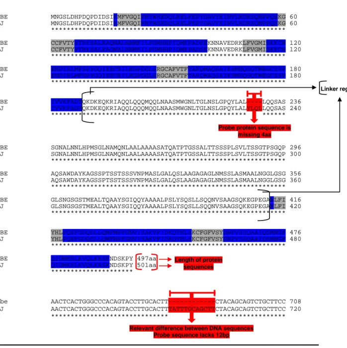 Figure 5.1.1   Amino acid sequence alignment  of cugbp1  cDNA with previously reported cugbp1 sequence  DDBJ  AB032726