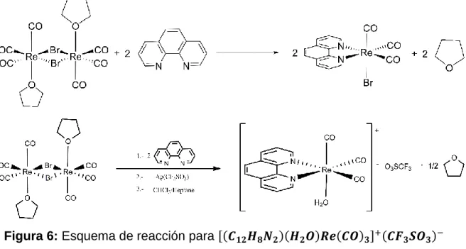 Figura 6: Esquema de reacción para [(