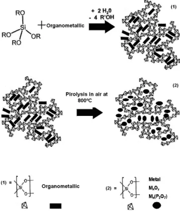 Fig. 1 Schematic representation of the Sol-gel/pyrolysis method to obtain  nanostructured metallic, materials inside amorphous silica.
