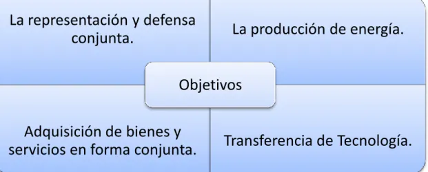 Figura 1-2. Objetivos del Consorcio.  