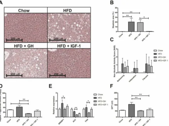 Figure 2. Effects of somatotropic hormone supplementation in liver. (A) Representative histological images of livers from experimental groups after 22 weeks of feeding with either chow, high fat diet (HFD) and HFD supplemented with growth hormone GH or ins