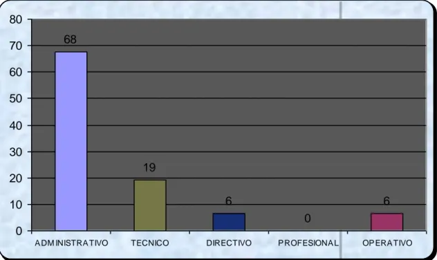 Gráfico N° 1. Distribución relativa del personal por grupo  Municipalidad de San Carlos 