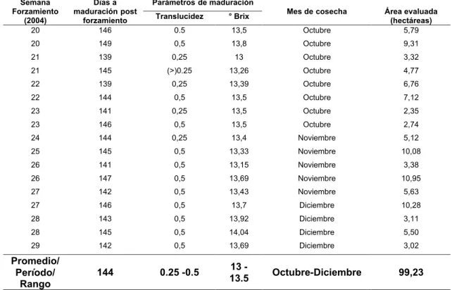 Cuadro  3.  Condiciones  de  translucidez  y  grados  brix  presentes  al  provocar  la maduración  artificial  en  frutas  de  piña,  según  cada  grupo  de forzamiento, en Finca La Fama, Santa Fe, Aguas Zarcas, 2004.