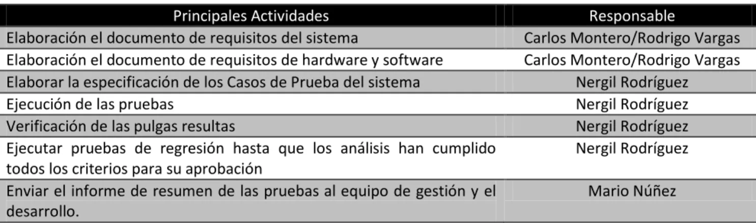 Tabla 7: Responsabilidad sobre las actividades 