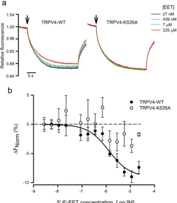 Figure 2.  Thermophoretic analysis of the TRPV4-EET interaction. (a) Typical signal of a microscale  thermophoresis (MST) experiment showing the thermophoretic movement (induced by infrared laser  activation, arrow) of the GFP-labeled TRPV4 WT or K535A mut