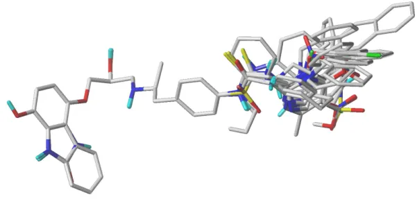 Figure 5. The superimposed structures of all compounds used in the CoMFA/CoMSIA models
