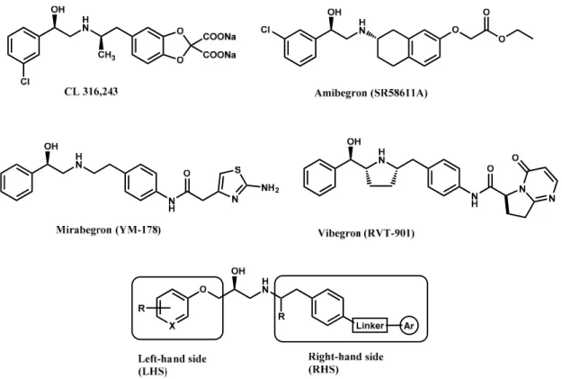 Figure 1. Structures of CL 316,243, amibegron, mirabegron, vibegron and the general structure of the  aryloxypropanolamines studied here