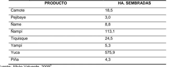 Cuadro 3.1.   Plantaciones por producto y área sembrada en el distrito de Peñas Blancas,  San Ramón, Alajuela, 2009 