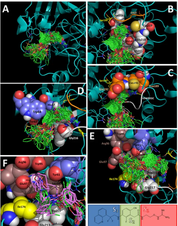 Fig 3. Alignment of all docked structures within the thrombin binding site (docked ligands are in green stick representation in A-E)