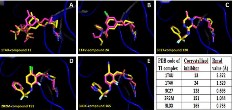 Fig 2. Alignment of inhibitor docked structures on inhibitor X-ray reference structures, for the TI complexes