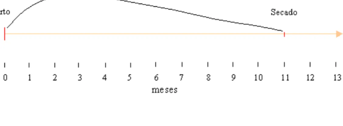 Figura 1.  Curva normal de lactancia.  