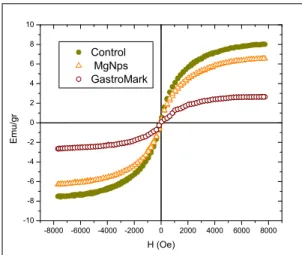 Fig.  5  Hysteresis  loops  of  magnetite,  MgNPs,  and  GastroMARK ®   obtained  with  a  vibrating  magnometer  (VSM) at room temperature as a function of the external field