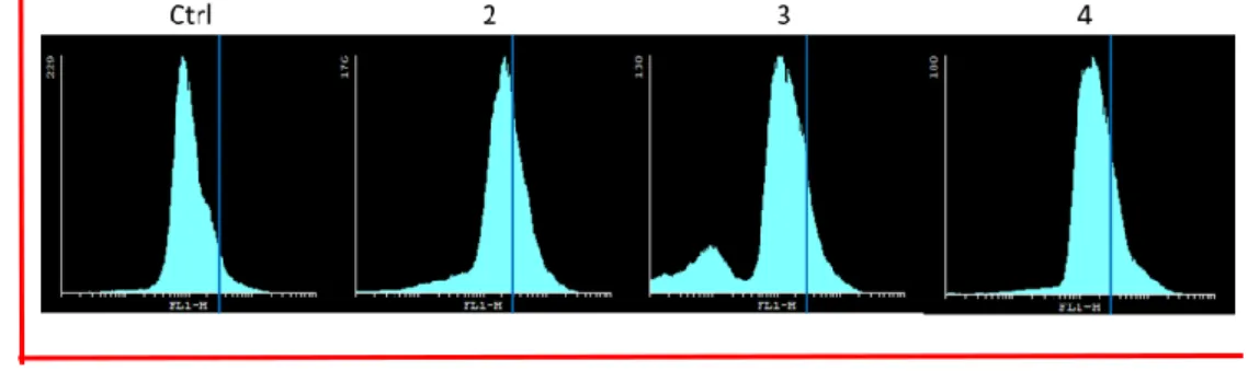 Table 4. Percentage of cells with caspases active on MCF-7 and PC-3-treated cells. 