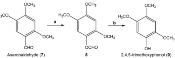 Figure 1. Structure of synthesized compounds.