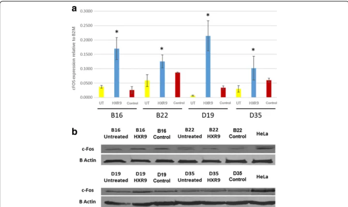 Fig. 4 Panel a: Expression of c-Fos by qPCR untreated cells and cells treated with HXR9 or control peptide (CXR9) at EC50