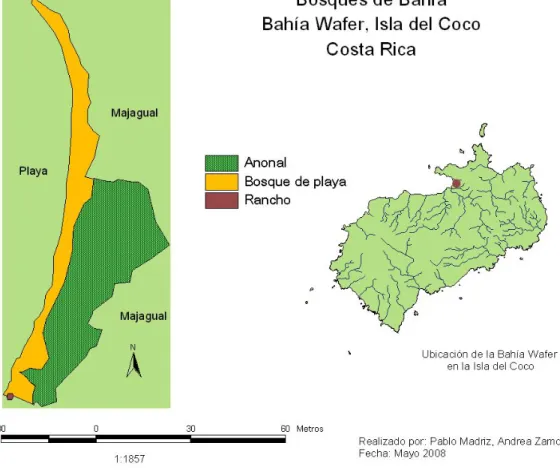 Figura 11. Mapa de las áreas de muestreo, anonal y el bosque, de playa de la Bahía  Wafer, Isla del Coco