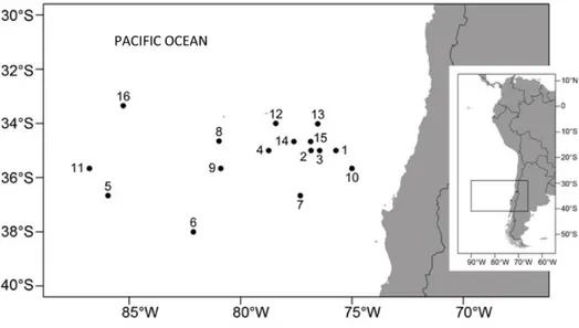 Figure 2. Sampling stations where paralarvae of Dosidicus gigas were captured during the project FIP 2002-12, November  11-14, 2003