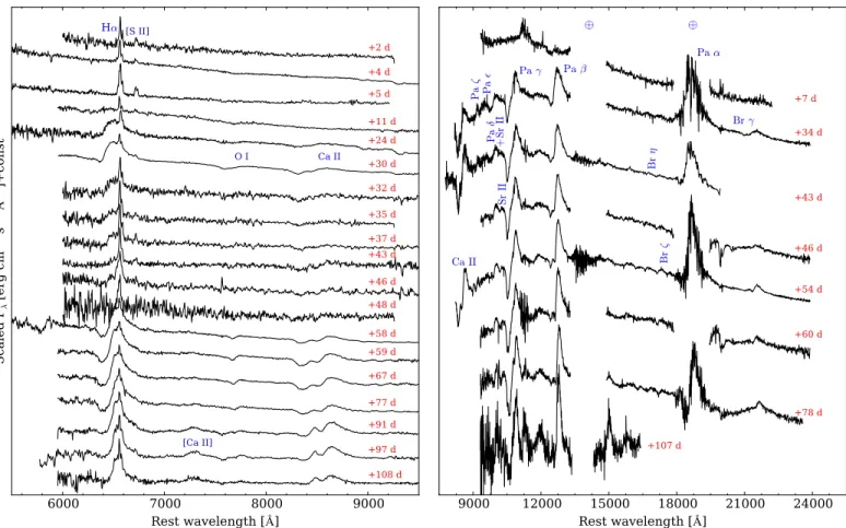 Figure 3. Left: Optical. Right: NIR spectral sequence of DLT16am. The phases refer to the epoch of the explosion