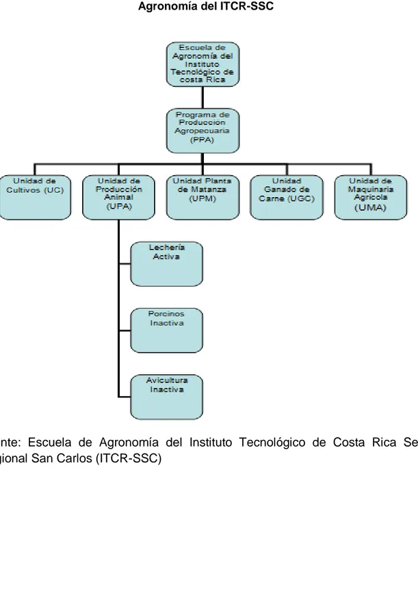 Figura 7. Organigrama Programa de Producción Agropecuaria de la Escuela de  Agronomía del ITCR-SSC 