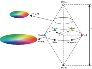 Figura 2.2: Esquema del modelo HSI [6]