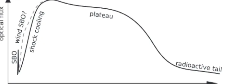 Figure 1. Schematic representation of the optical light curve of a red supergiant core collapse supernova in arbitrary units (c.f.Figure1 in Garnavich et al