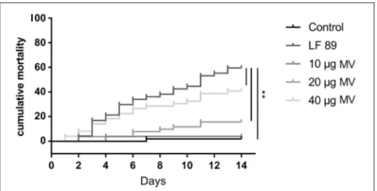 FIGURE 3 | Cumulative mortality (%) of adult zebrafish challenged with membrane vesicles (MVs) isolated from Piscirickettsia salmonis LF-89 type strain