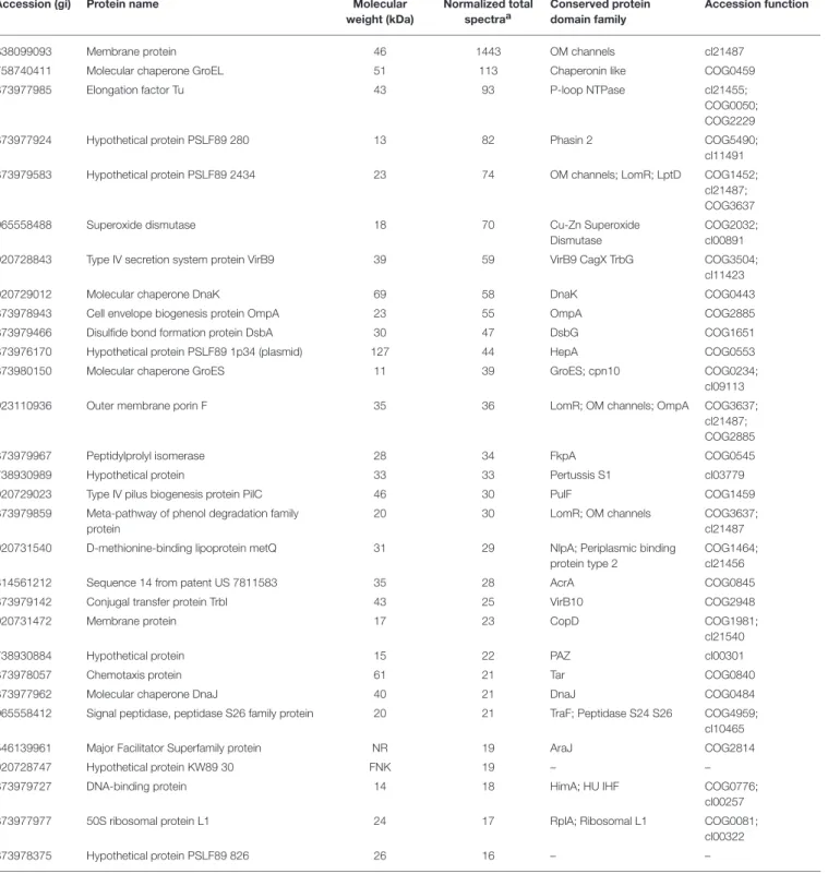 TABLE 1 | Most abundant proteins identified from P. salmonis LF-89 type strain membrane vesicles.