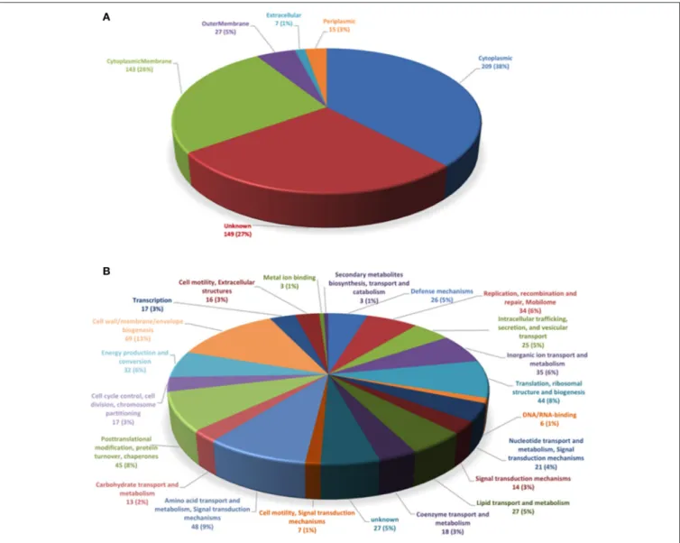 FIGURE 1 | Classification of P. salmonis LF-89 membrane vesicles proteins. (A) Subcellular locations of membrane vesicle proteins identified by MudPIT