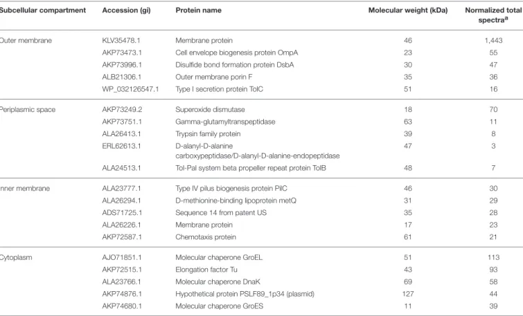 TABLE 2 | Five most abundant proteins from each subcellular compartment identified in P