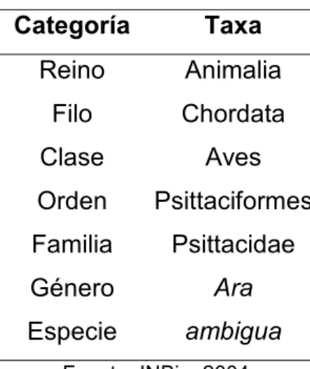 Cuadro 1. Información taxonómica sobre la lapa verde. 