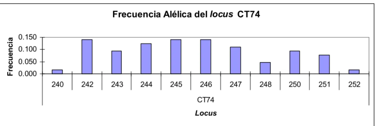 Figura 5. Representación gráfica de las frecuencias alélicas para el locus CT74  (GenALEx v.6)
