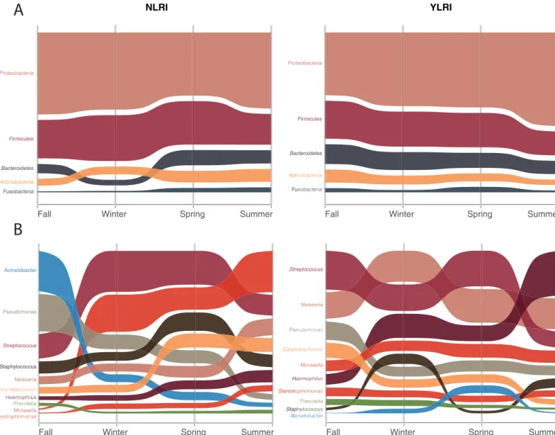 Fig 2. Alluvial plots of mean relative proportions of most abundant (3%) phyla and genera in microbiomes from patients with (YLRI) and without (NLRI) lower respiratory infections (LRI) across meteorological seasons.