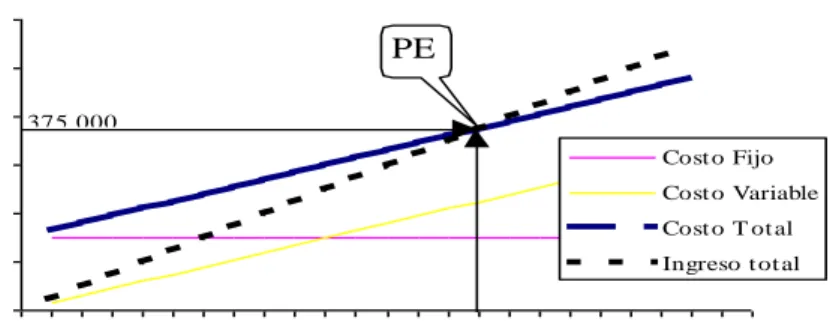 Figura 1. Representación del Punto de Equilibrio. 