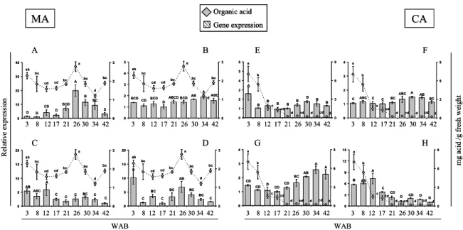 Figure 1. Expression profiles of putative organic acid-related genes during the growth of cherimoya cv