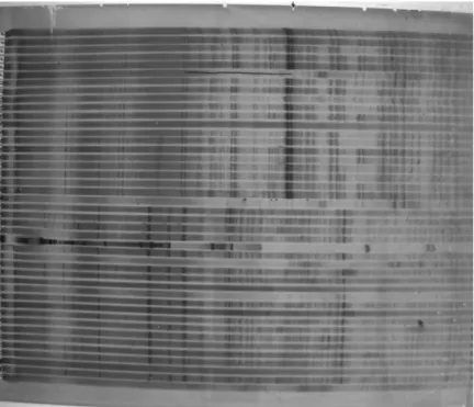 Figura 3.2: Gel de electroforesis con distorsión de efecto barril