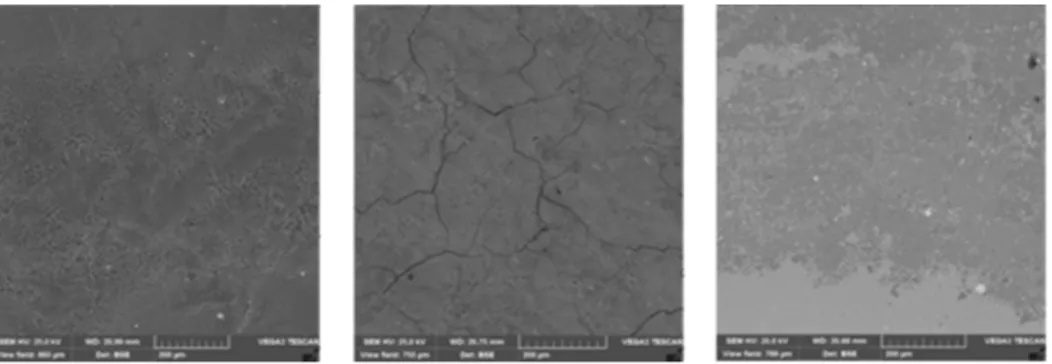 FIG. 3. SEM images of selected samples with marker length of 200µm on all the micrographs