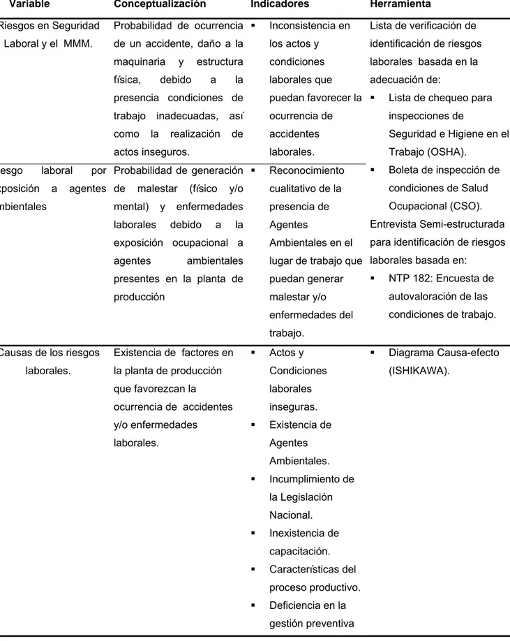 Cuadro 3.1 Operacionalización de las variables medidas 