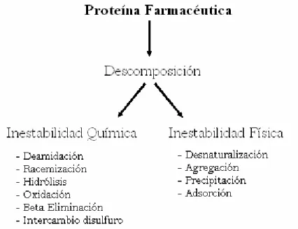Fig. 2. Principales procesos de inestabilidad observados en proteínas de uso farmacéutico  (Tomado y modificado de Manning et al., 1989)