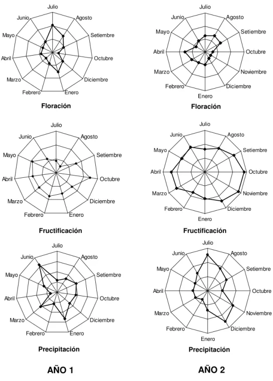 Figura 2. Distribución mensual del número de individuos en floración y fructificación y de  la precipitación durante los dos años de estudio en la  Región Huetar Norte,  