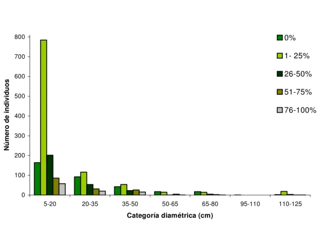 Figura 5.  Número de individuos por categoría diamétrica de las especies del dosel  superior reportadas con frutos en los seis sitios de estudio ubicados en la Región Huetar 