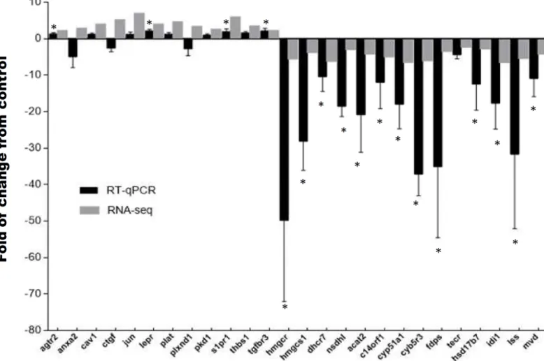 Fig 2. Quantitative real time PCR validation of differentially expressed transcripts. Expression of fold changes measured by RNA-seq and qPCR are indicated in the grey and black columns, respectively