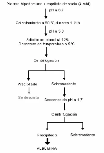 Figura 4. Esquema del método inicial de termocoagulación selectiva con etanol  empleado para la obtención de albúmina 