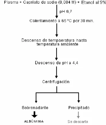 Figura 5. Esquema del método final de termocoagulación selectiva con etanol  empleado para la obtención de albúmina  