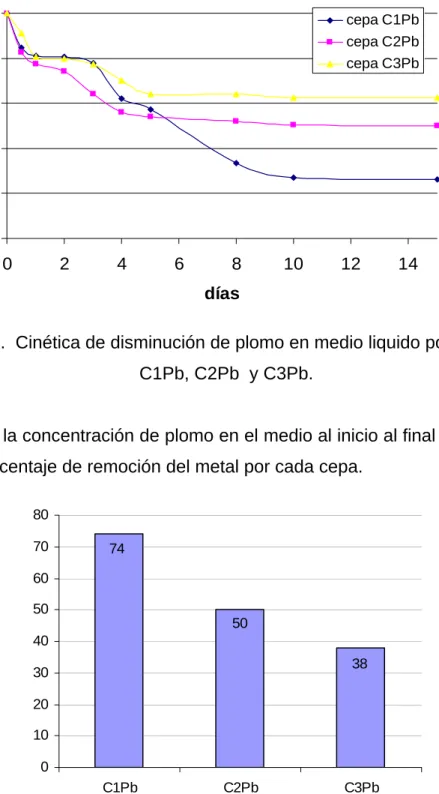 Figura 11.  Cinética de disminución de plomo en medio liquido por las cepas  C1Pb, C2Pb  y C3Pb