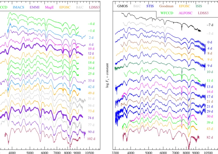 Fig. 4: Montage of selected visual-wavelength spectra of SN 2007on (left) and SN 2011iv (right)