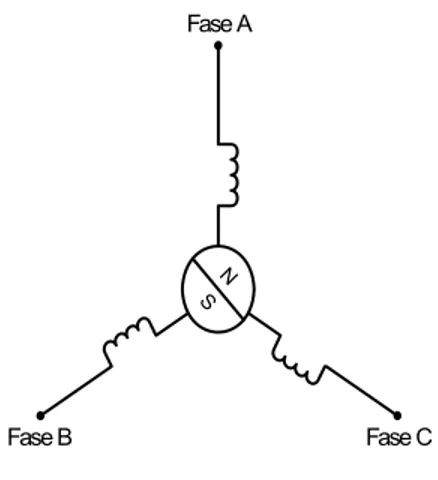 Figura 3.3    Máquina de dos polos. 